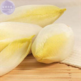 BELLFARM Belgium Endive Chicory Seeds, 20 Seeds, Professional Pack, organic witloof gourmet salad vegetables BD074H