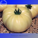 Rare Belyy Giant White Beefsteak Tomato Seeds, Professional Pack, 100 Seeds / Pack, Edible Tasty Fruits