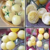 Heirloom White Cherry Tomato Organic Fresh Fruit Vegetables, 100 Seeds, delicious and nutritious E3639