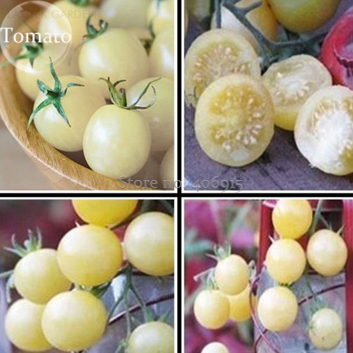 Heirloom White Cherry Tomato Organic Fresh Fruit Vegetables, 100 Seeds, delicious and nutritious E3639