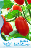 1 Original Pack, 35 Seeds / Pack, Very Sweet Red Cherry Tomato Seeds, Heirloom Tasty Tomato Fruit #NF533