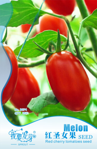 1 Original Pack, 35 Seeds / Pack, Very Sweet Red Cherry Tomato Seeds, Heirloom Tasty Tomato Fruit #NF533