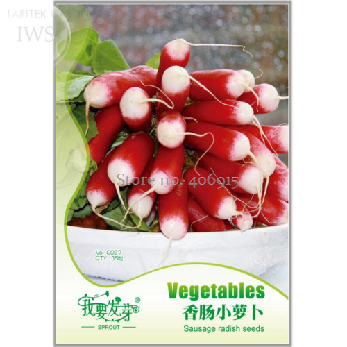 Sausage Radish Seeds Balcony Potted Vegetable Fruit Belle Radish Seeds,Original Pack,  35 seeds, organic vegetables IWSC027