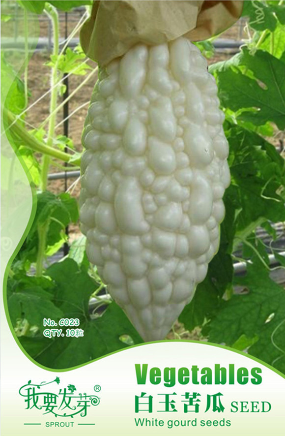 Original Pack, 10 Seeds / Pack, White Ultra Rare  Bitter Melon Bitter Gourd Beauty Winner A Must Have Variety #A00296