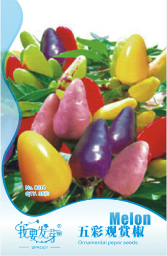 1 Original Pack, 35 seeds / pack, ORNAMENTAL HOT PEPPER SEEDS  PRAIRIE FIRE  EDIBLE! GROW INSIDE OR OUT! #NF118