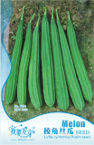 10 Original Packs, 10 seeds / pack, Luffa Acutangula Angled Luffa Vegetables Ridged Luffa Chinese Okra