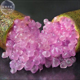 Imported Rose Pink Bliss Finger Lime Plant Seeds, 10 seeds, professional pack, a must for garden rare plant E4123