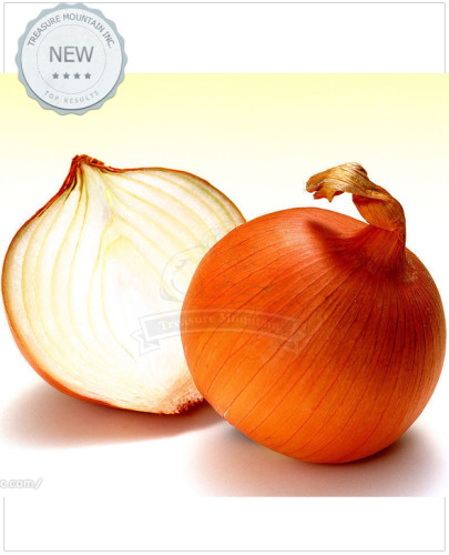 1 Professional packaging , 1000 seeds / pack, Allium Cepa Yellow Round Onions Vegetables