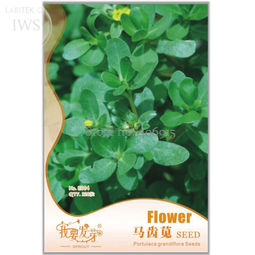 Rare Natural Organic Purslane seeds, Original Pack, 120 seeds, adaptable and easy to grow green vegetables IWSE004