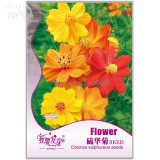Cosmos Sulphureus Seeds Balcony Potted Flowers Chrysanthemum Seeds, Original Pack, 60 seeds, very beautiful flowers IWSA095S
