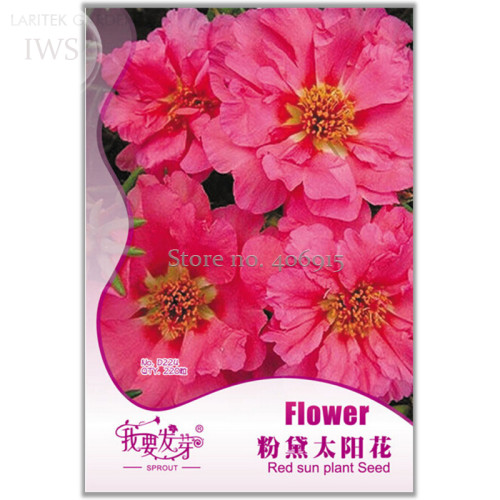 Beautiful Red Sun Plant Flower Seeds, Original Pack, 220 seeds, potted garden seeds light up your garden IWSD224