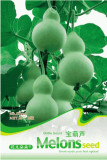 1 Original Pack, approx 8 Seeds / Pack, Middle Bottle Groud Seed Lagenaris Siceraria #B006