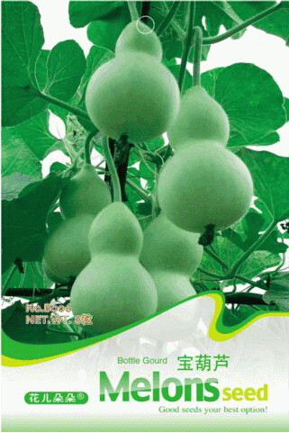 1 Original Pack, approx 8 Seeds / Pack, Middle Bottle Groud Seed Lagenaris Siceraria #B006