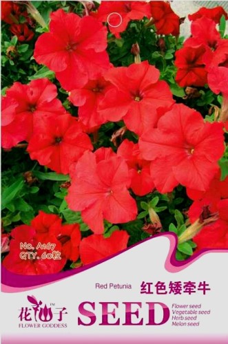 Heirloom Red Garden Petunia Hybrida Annual Flower Seeds,  60 Seeds / Pack, Long Blooming Flower 