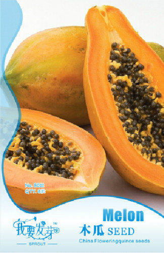 1 Original Pack, 8 seeds / pack, Fresh Organic Pawpaw Seeds Giant Red Lady Exotic Carica Papaya #NF137