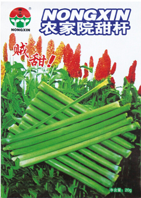 Rare Heirloom Very Sweet Green Sugarcane Organic Seeds, 1 Original Pack, 20g Seeds / Pack, Juicy Sweet Fruit #NF608
