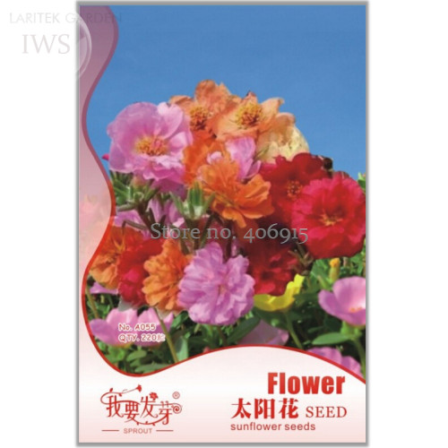 Sunflower Potted Portulaca Grandiflora Seeds, Original Pack, 220 seeds, improve the environment light up your garden IWSA055