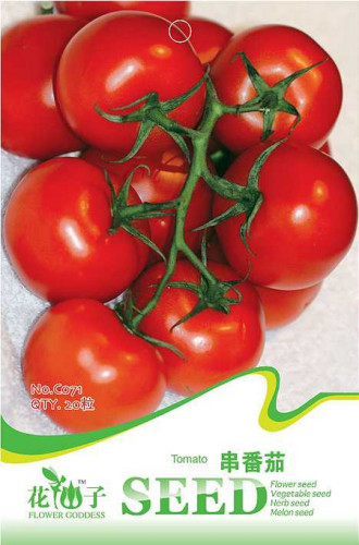 1 Original pack, 20 seeds / pack, Red Truss Tomato, Edible Organic Vegetables #C071