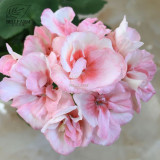 BELLFARM Geranium Peach Pink Light Color Ball-types Bonsai Flowers, 10pcs Seeds Heirloom Sweet Pelargonium hortorum Garden