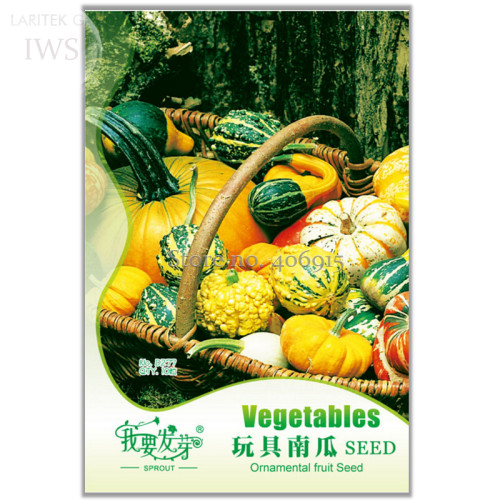 Ornamental Doll Pumpkin Seeds, Original Pack, 10 seeds, interesting ornamental pumpkin fruit IWSD277
