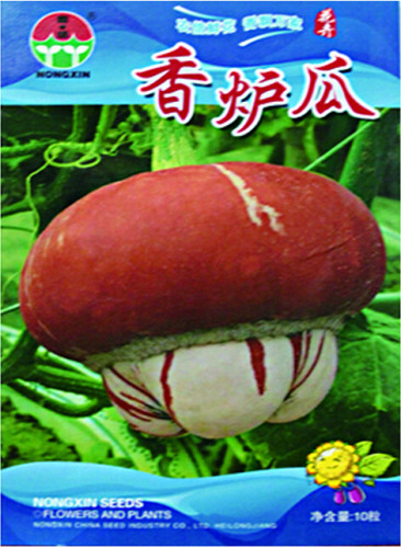 Rare Heirloom Red White Pumpkin 'Censer' Seeds, 1 Original Pack, 10 Seeds / Pack, Ornamental Edible Vegetables #NF614