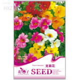Nemesia Strumosa Flower Seeds, Original Package, 30 seeds, balcony patio potted indoor seasons easy to plant flower seeds A164