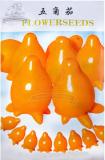 10 Original packs, 20 seeds / pack, Solanum mammosum, Cow's Udder, Nipple Fruit,  Apple of Sodom Seeds