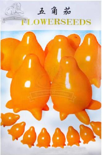 10 Original packs, 20 seeds / pack, Solanum mammosum, Cow's Udder, Nipple Fruit,  Apple of Sodom Seeds