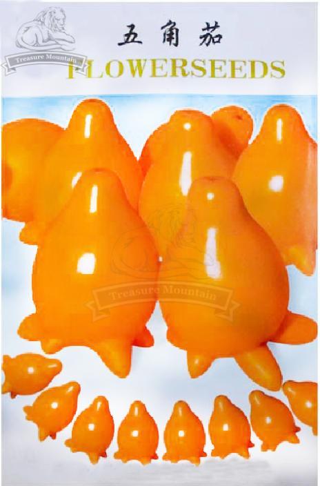 10 Original packs, 20 seeds / pack, Solanum mammosum, Cow's Udder, Nipple Fruit,  Apple of Sodom Seeds
