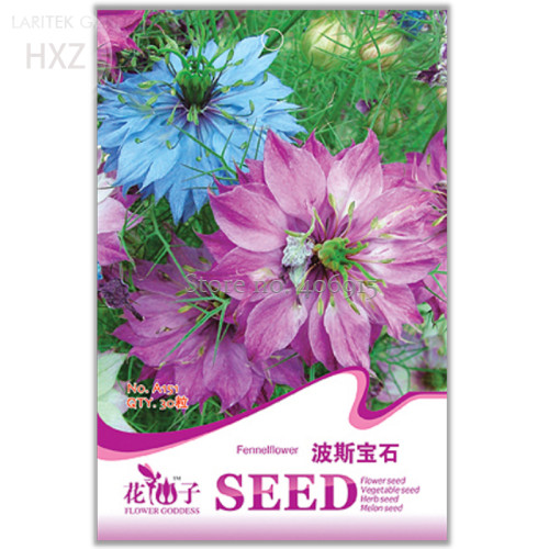 Fennel Flower Seeds Nigella Damascene Persian Gem Garden Plants Seeds, Original Package, 30 seeds, long flowering A151