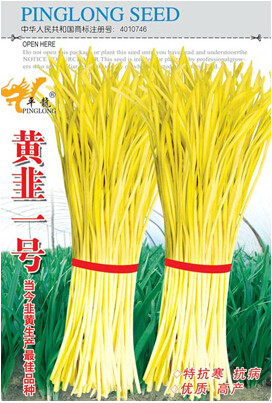 1 Original Pack, 50g seeds / pack, Hotbed Chives Chinese Yellow Chives NON-GMO Great Vegetables #NF245