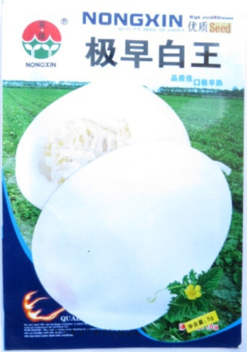 Heirloom White Sticky Sweet Melon (Sugar 17% Contained) Fruit Seeds, Original Pack, 200 Seeds / Pack, Very Very Sweet Muskmelon