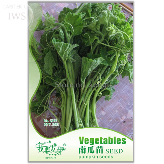 Rare Vegetables The Pumpkin Seedling Seeds, Original Pack, 10 seeds, easy grow courtyard seeds IWSC144SS