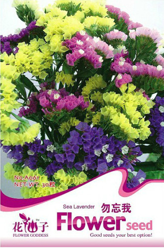1 Original Pack, approx 30 Seeds / Pack, Mix Midnight Statice Limonium sinuata Seeds Good Cut Flower Evergreen Perennial #A061