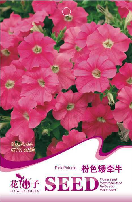 1 Original Pack, 60 seeds / pack, Pink Petunia Bright Color Rare Seed #A166