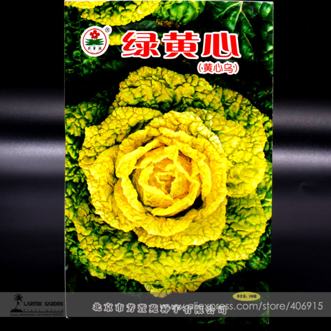 Heirloom Green Yellow Chinese Cabbage Organic Seeds, Original Pack, 100 Seeds / Pack Hardy Vegetables