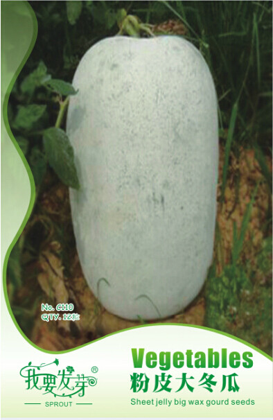 1 Original Pack, 12 seeds / pack, Wax Gourd White Skin Fuzzy Winter MelonWhite Ash Benincasa Hispida Seeds #NF106