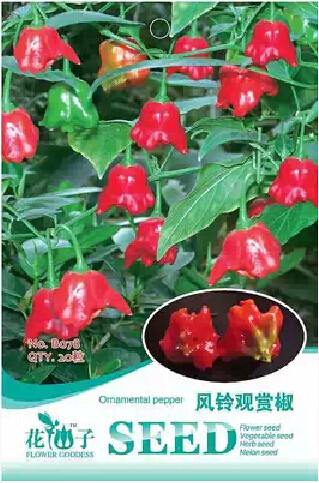 Anatolian Tulip Ornamental Pepper Seeds, Original Pack, 20 Seeds / Pack, Aeolian Bell Chili Red Pepper Edible Vegetable #B078