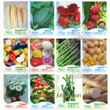 12 Original Packs, White Asparagus Seeds Watermelon Pitaya Bell Pepper Flowers Coffee Bean Vegetables Seeds Combo #NF188