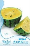 Small Yellow Watermelon Sweet Fruit Seeds, Original Pack, 8 Seeds / Pack, Edible Heirloom Melon E3293