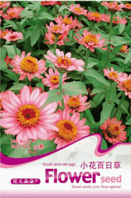 1 Original Pack, 50 seeds Zinnia Elegans Pink Youth-and-Old-Age with Little Flowers #A035