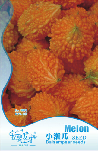 1 Original Pack, 8 seeds / pack, Yellow Momordica Organic Seeds Smallest Bitter Melon Momordica Charantia #NF114