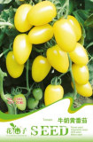 Rare Milky Yellow Cherry Tomato Organic Seeds, Original Pack, 20 Seeds / Pack, Very Tasty Juicy Sweet Fruit C086