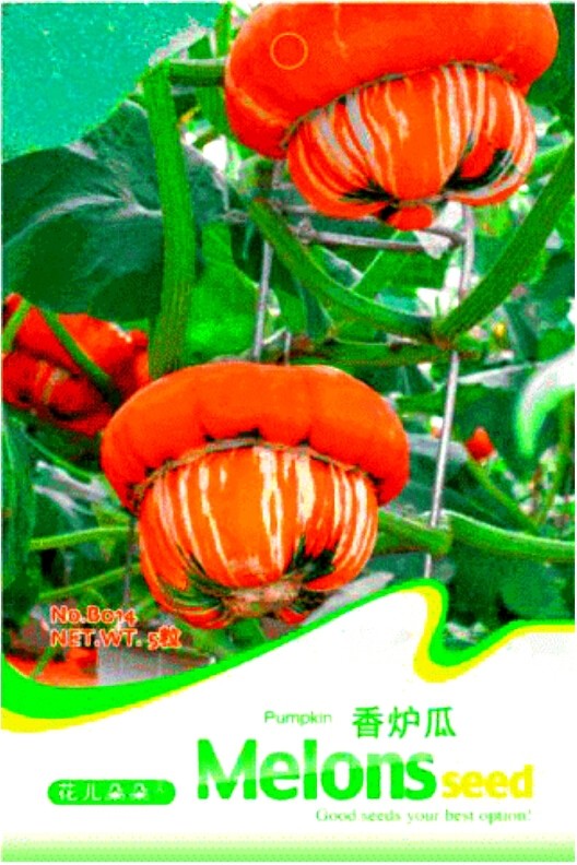 Flower Goddess 'Burner' Pumpkin Ornamental Vegetables Seeds, Original Pack, 5 Seeds / Pack B014