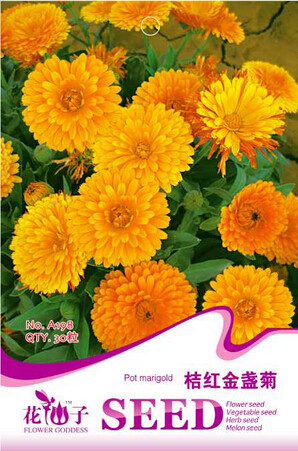 Calendula Orange Pot Marigold Flower Seeds, Original Pack, 30 Seeds / Pack, Annual Garden Seeds A198