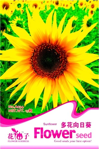 Peking 'Vedova' Bonsai Yellow Ornamental Sunflower Seeds, Original Pack, 15 Seeds / Pack, Light Fragrant Windowsill Flowers A034