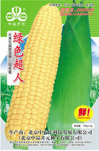 1 Original Pack, 100g Seeds / Pack, Yellow Sweet Corn Seeds, Heirloom Organic Chullpi Corn Can be Eaten Raw Fruit Corn