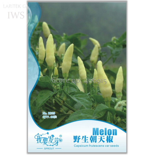 Wild Hot Chili Peppers Seeds,Original Pack,  60 seeds, natural health balcony vegetables IWSB025S