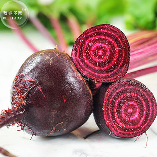 BELLFARM Beet Root Red 'Early Wonder' Vegetable Seeds, 50 seeds, prodessionbal pack, home garden bettrave