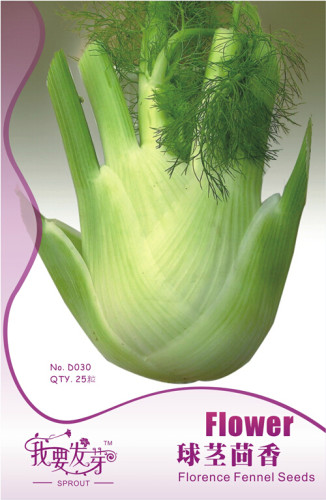 10 Original Packs, 25 Seeds / Pack, New Fresh Bulbing Fennel Foeniculum Vulgare Dulce Finale Herb Seeds